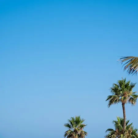 Torecilla Lägenhet Nerja